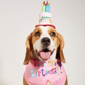 Creative Printing Dog Triangular Binder Birthday Saliva Towel Accessories