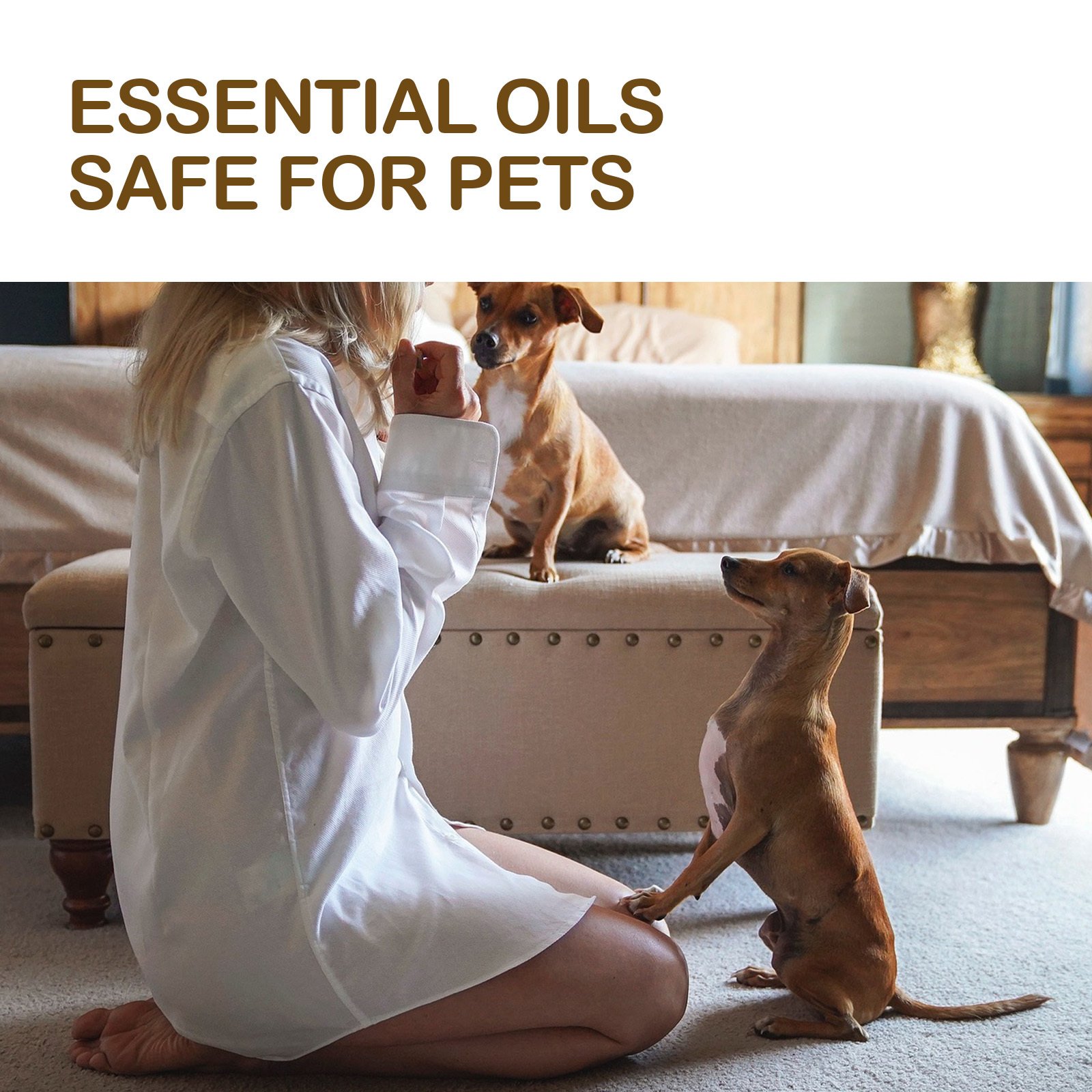 Dog Pet Care Oil With Lemon Balm Oil Fatty Acids, Joint & Muscle Relief Supplement Oil For Canine Mobility Support - Image 4