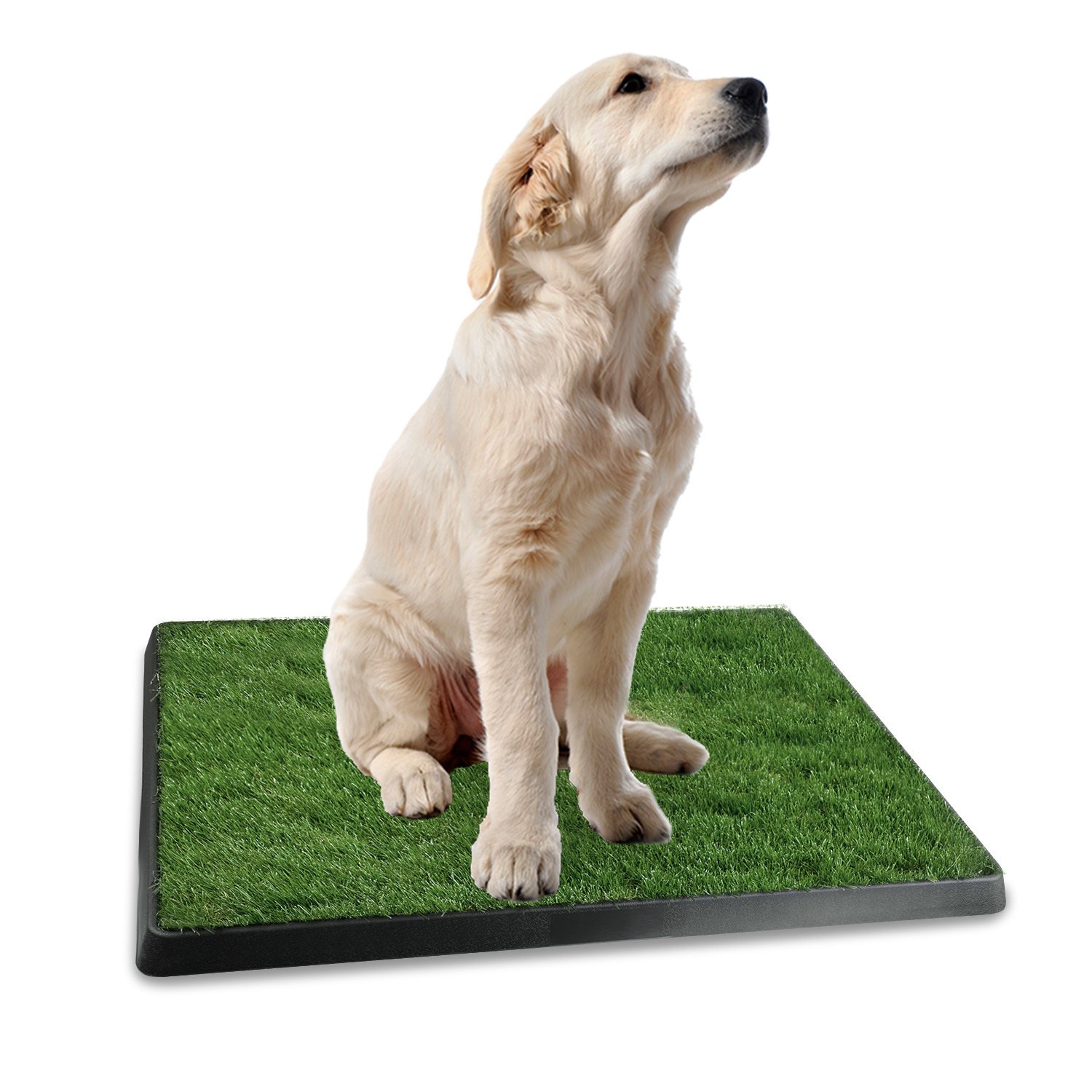 1Pc Dog Potty Training Artificial Grass Pad Pet Cat Toilet Trainer Mat Puppy Loo Tray Turf For Small Medium Dogs Indoor Outdoor Use - Image 6