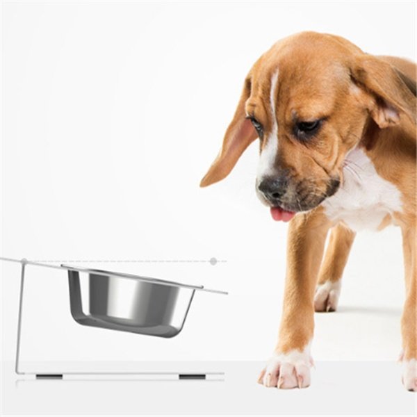 Anti-falling Cat Dog Feeding Water Bowl - Image 6
