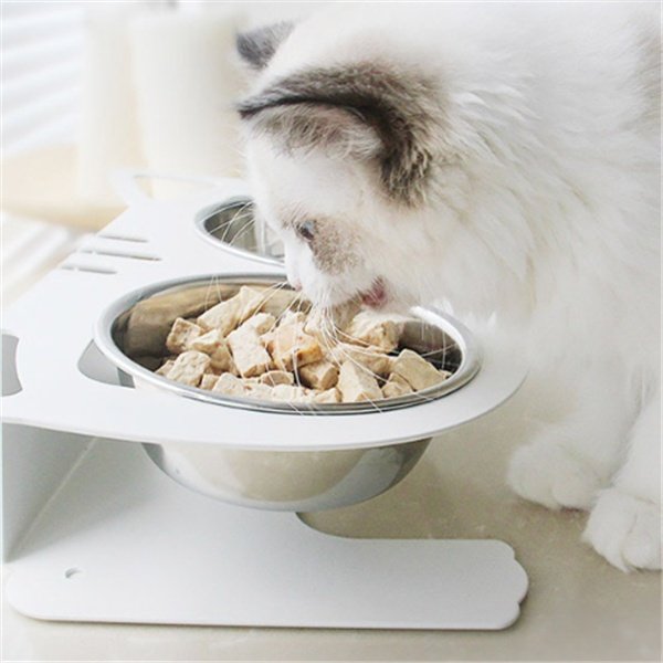Anti-falling Cat Dog Feeding Water Bowl - Image 4