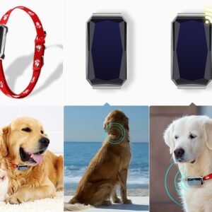 Beidou GPS pet positioning collar