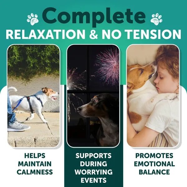 Hemp Calming Chews For Dogs Dog Anxiety Relief Treats With Hemp Oil Turmeric Valerian Ginger Health And Wellness Supplements For Dogs Hip And Joint Support 120 Treats - Image 5
