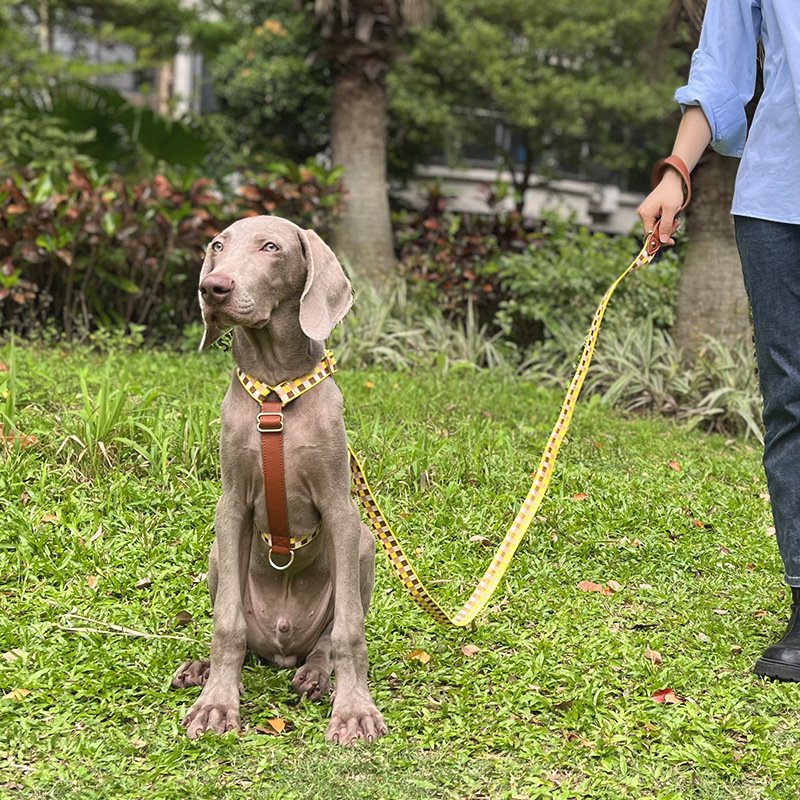 I-shaped Pet Chest Harness Traction Rope - Image 2