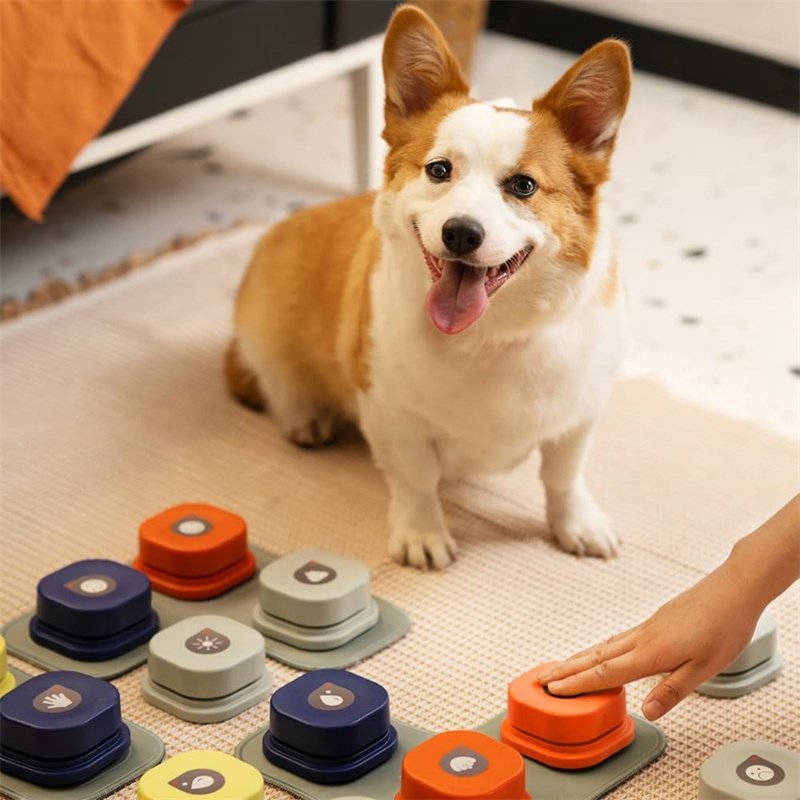 4 Colors Pet Communication Button One-click Prevent Physical Inactivity Recordable Dog Talking Button Toy Cat Toy Pet Products - Image 2