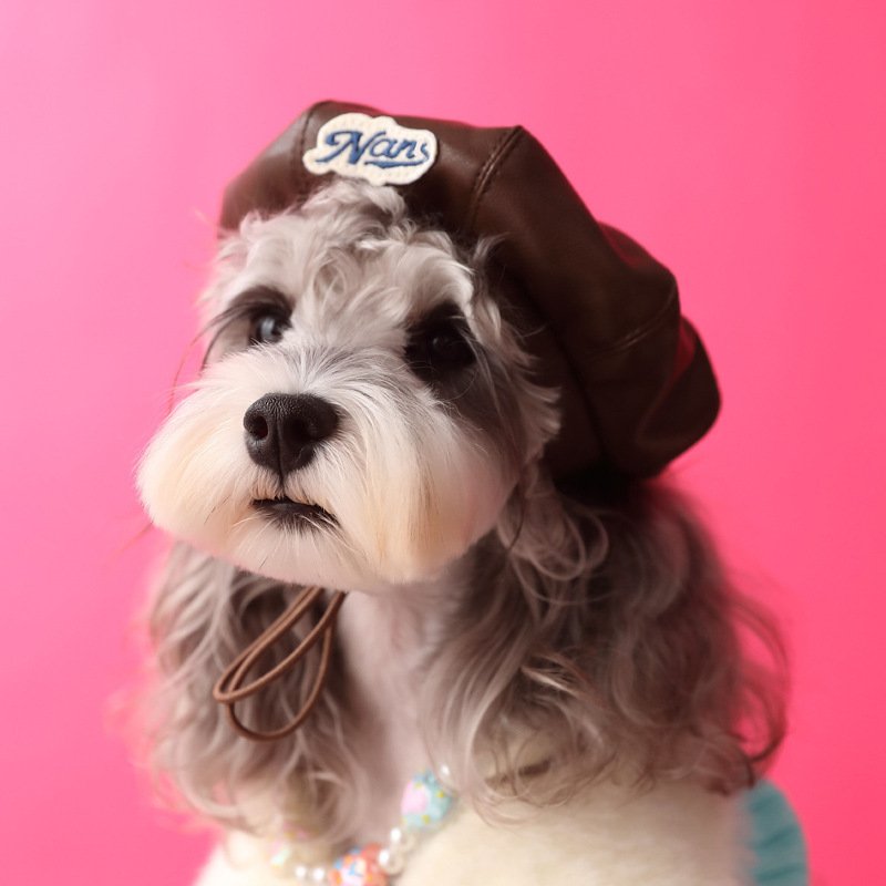 Dog Accessories Photo Concave Shape Pumpkin Hat - Image 9