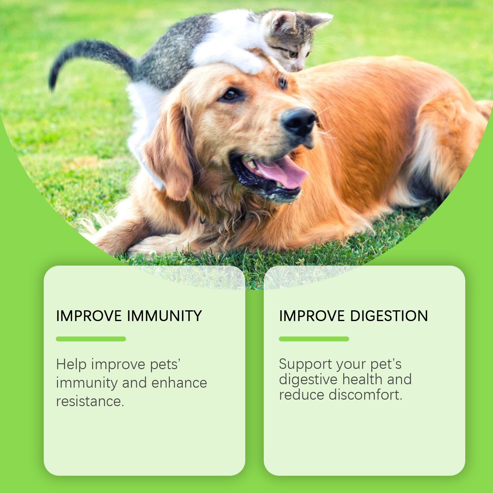 Pet Probiotics & Vitamin Tablets For Dogs & Cats, Gut Health Supplement, Support Digestion & Immune System, 80 Chewable Tablets - Image 8