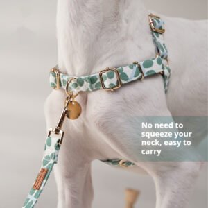 Chest Strap Explosion-proof Outdoor Pet Hand Holding Rope