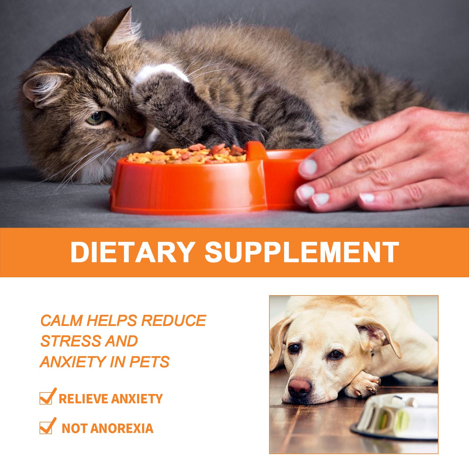 Pet Calming Hemp Oil For Dogs & Cats, Natural Anxiety Relief Supplement, Improve Appetite & Support Pet Health, 30ml - Image 5