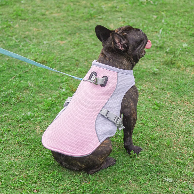Summer Pet Outdoor Breathable Cooling Vest - Image 6