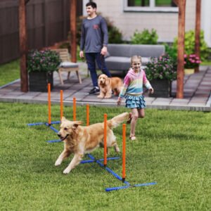 Dog Agility Training Equipment Adjustable Poles for Dog Agility Course with Carry Bag