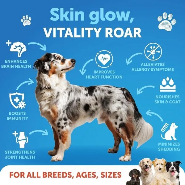 Salmon Oil For Dogs 3 For Dogs 8 FL OZ Wild Alaskan Salmon Fish Oil - Image 5