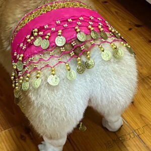 Belly Dance Fart Chain Sequined Waist Chain Enthusiastic Dog Fart Hip Scarf