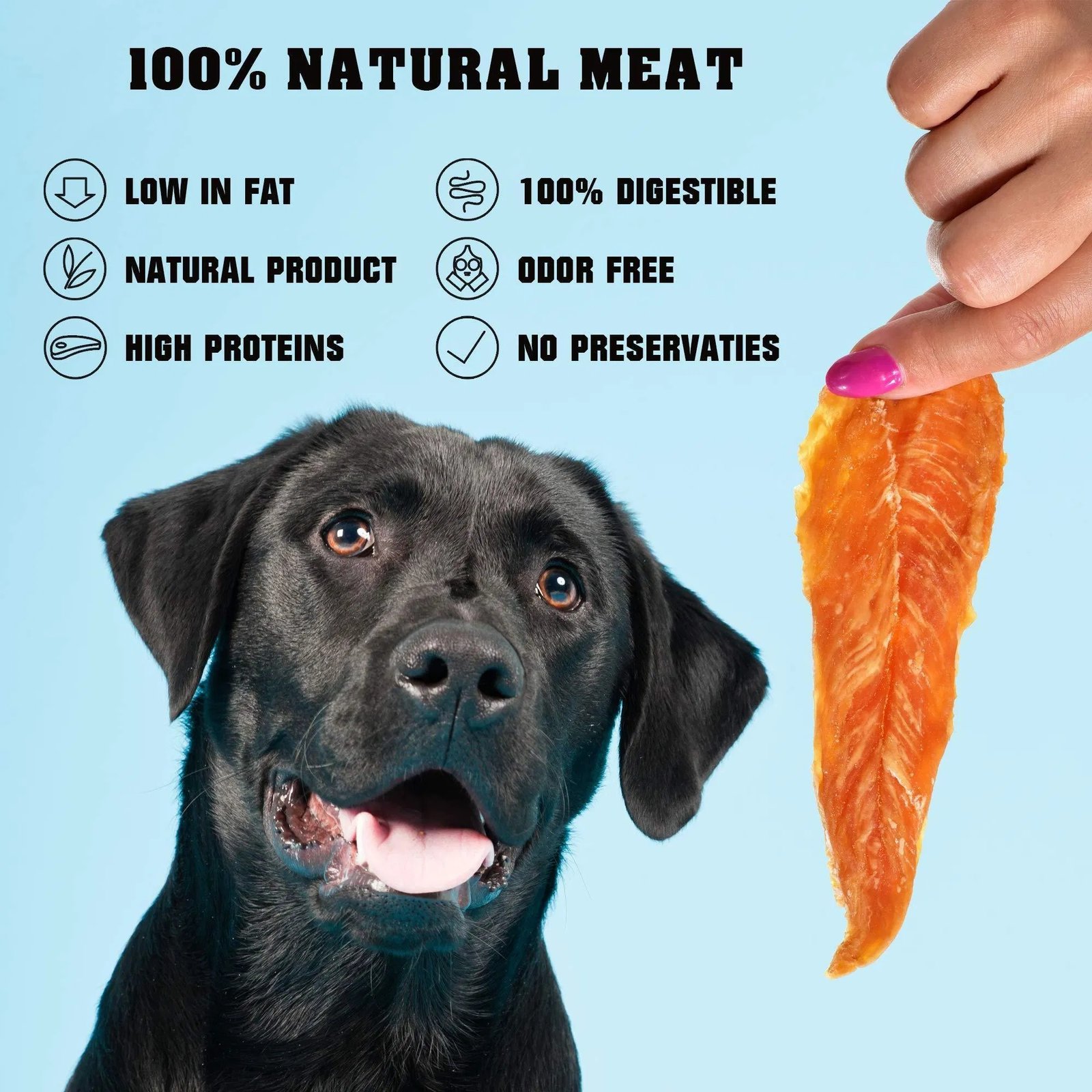 Chicken Jerky Dog Treats 1.5 Lb Human Grade Pet Snacks Grain Free Organic Meat All Natural High Protein Dried Strips Best Chews For Training Small & Large Dogs - Image 6