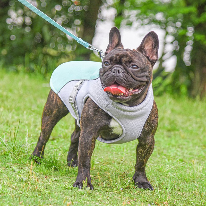 Summer Pet Outdoor Breathable Cooling Vest - Image 2