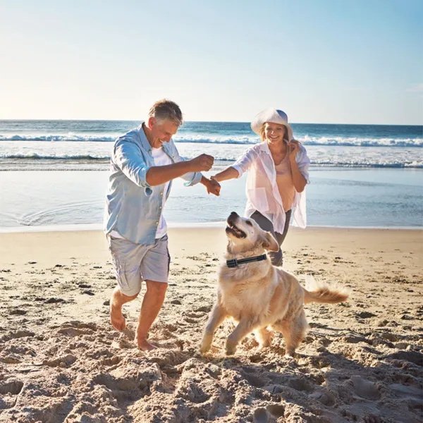 Dog Training Collar Receiver IP67 Waterproof Dog Bark Shock Vibration Beep Receiver Up To 3280ft - Image 5