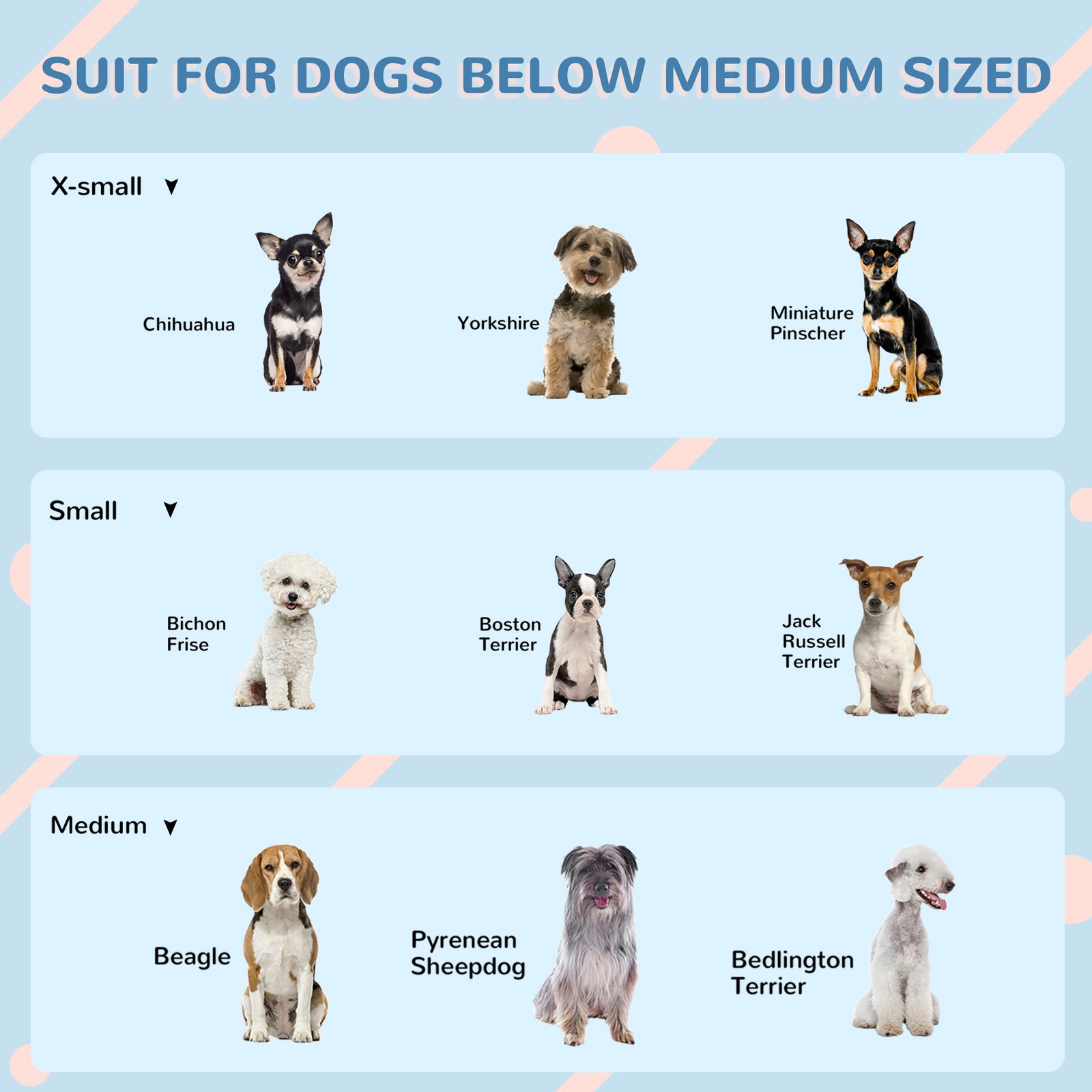 Plastic Dog House for Medium and Small Dogs, Water Resistant Puppy Shelter Indoor Outdoor with Door, Easy to Assemble, Blue - Image 7