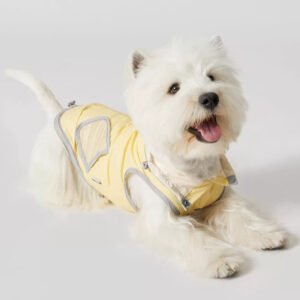 Dog Ultra-thin Vest Raincoat Water And Dirt Resistant Wind Shield