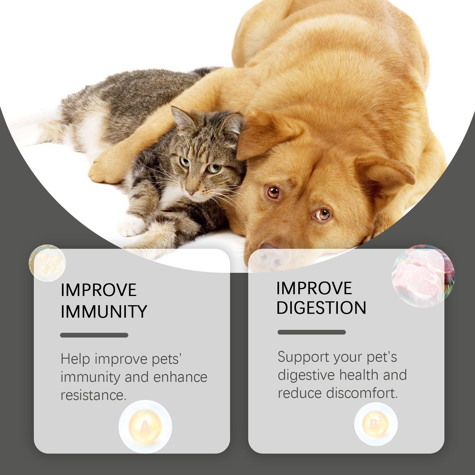Pet Probiotic Chewable Tablets For Dogs & Cats Digestive Health Support, Immune Booster With Vitamin B2 & Yeast Selenium, 80 Tablets - Image 5