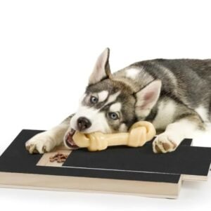 Dog Nail Scratch Board, Dog File Board Dog Nail Grinder Board Scratch Pad For Nails With Treat Box Pets Nails Trimming For All Dog Sizes