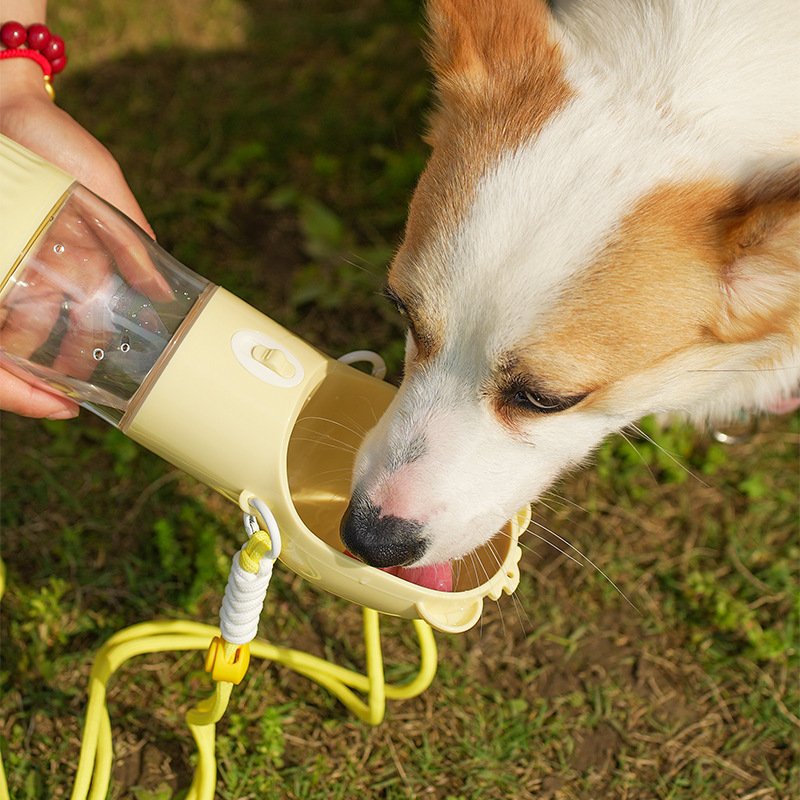 2 In 1 Portable Dog Water Bottle For Small Big Dogs Cat Outdoor Leak-proof Puppy Drinking Bowl With Food Container Pets Feeder Pet Products - Image 4