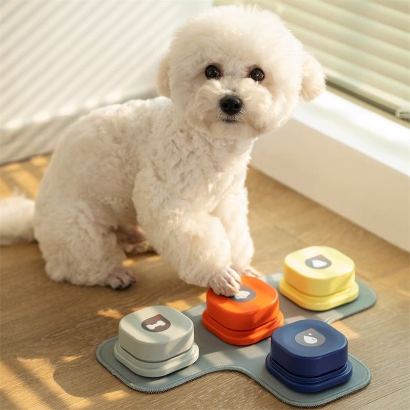 4 Colors Pet Communication Button One-click Prevent Physical Inactivity Recordable Dog Talking Button Toy Cat Toy Pet Products - Image 3