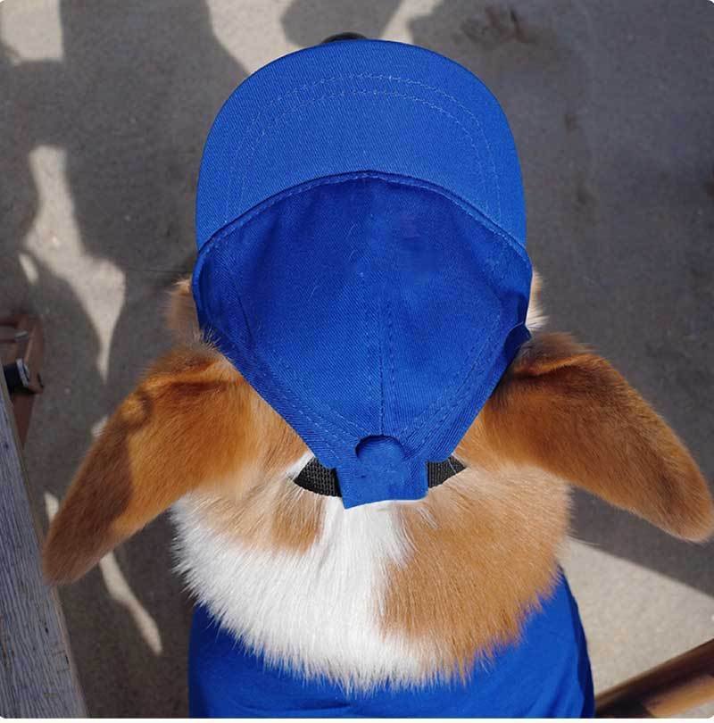 New Adjustable Sun-proof Exposed Ears Pet Hat - Image 7