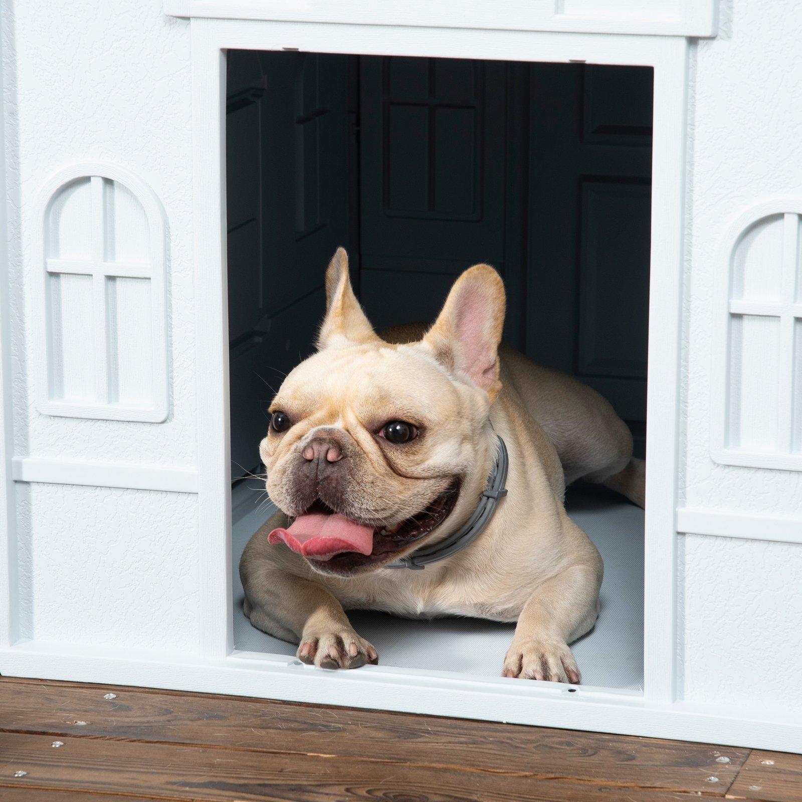 Plastic Dog House for Medium and Small Dogs, Water Resistant Puppy Shelter Indoor Outdoor with Door, Easy to Assemble, Blue - Image 8