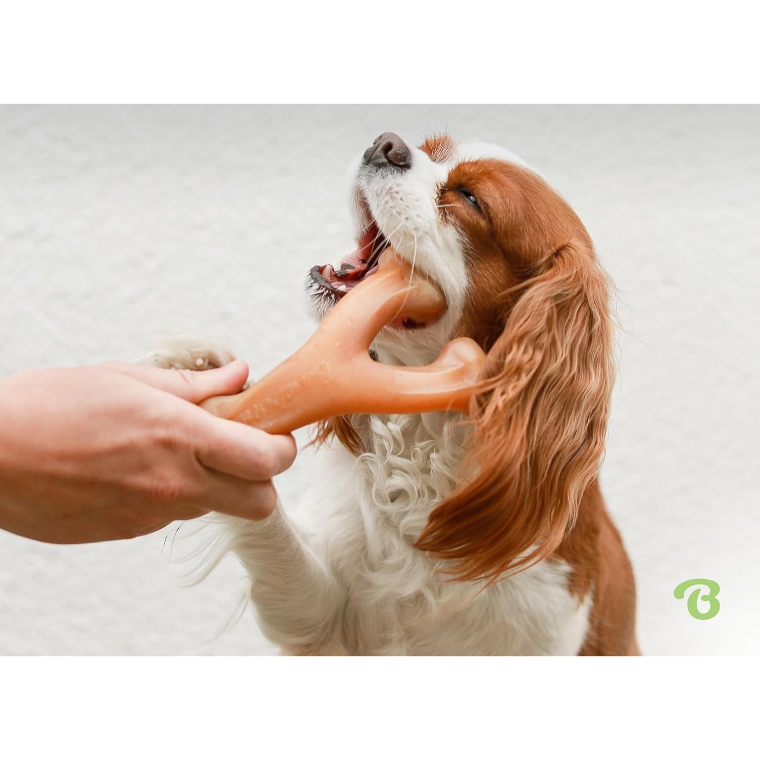 Wishbone Durable Dog Chew Toy For Aggressive Chewers, Real Bacon,Medium - Image 2