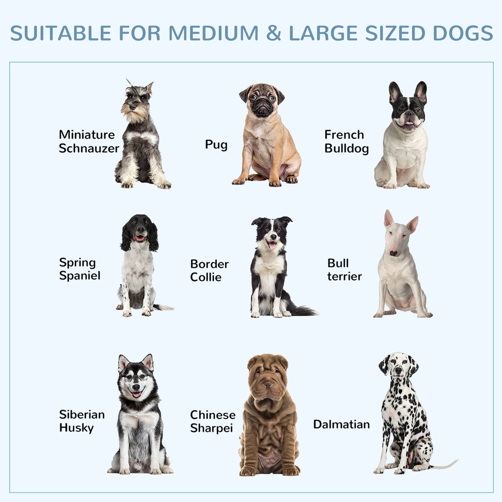 43" Heavy Duty Dog Crate Metal Cage Kennel with Lockable Wheels, Double Door and Removable Tray, Gray - Image 7