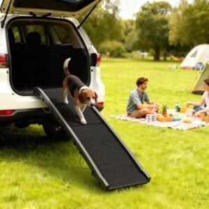 Folding Dog Ramp