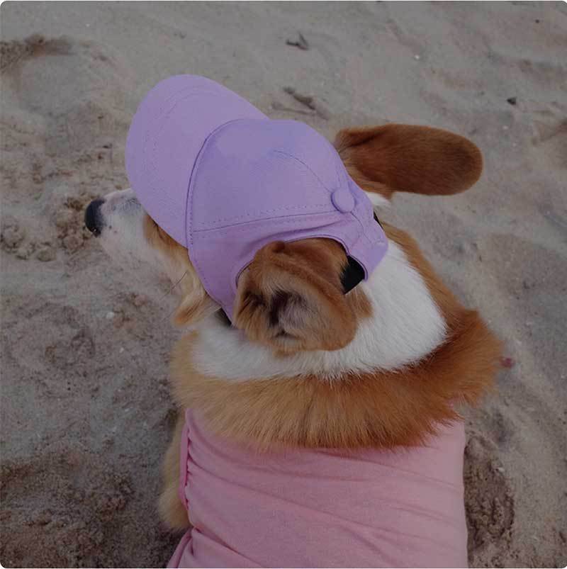 New Adjustable Sun-proof Exposed Ears Pet Hat - Image 9