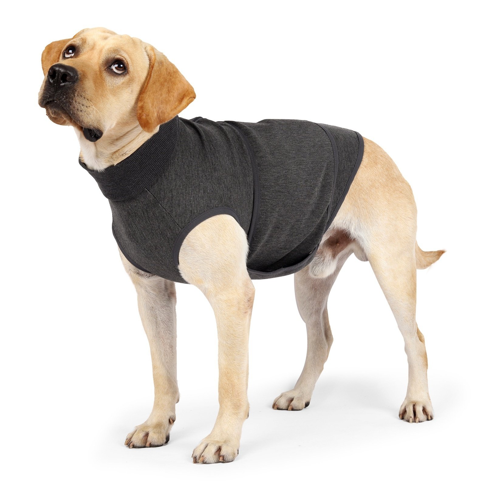 Soothing Clothes Anti-scare Pet Mood Soothing Clothes - Image 5