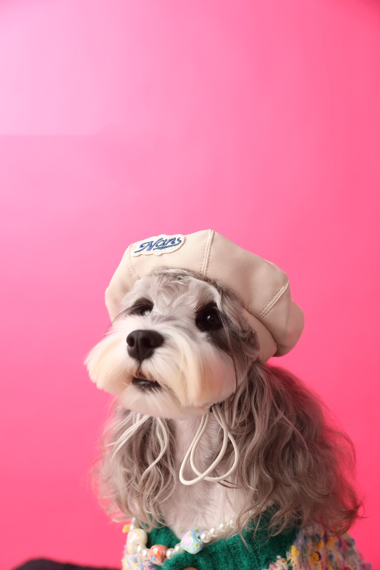 Dog Accessories Photo Concave Shape Pumpkin Hat - Image 7