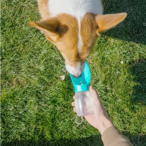 Pet Water Cup Outdoor Portable Water Bottle - Image 2