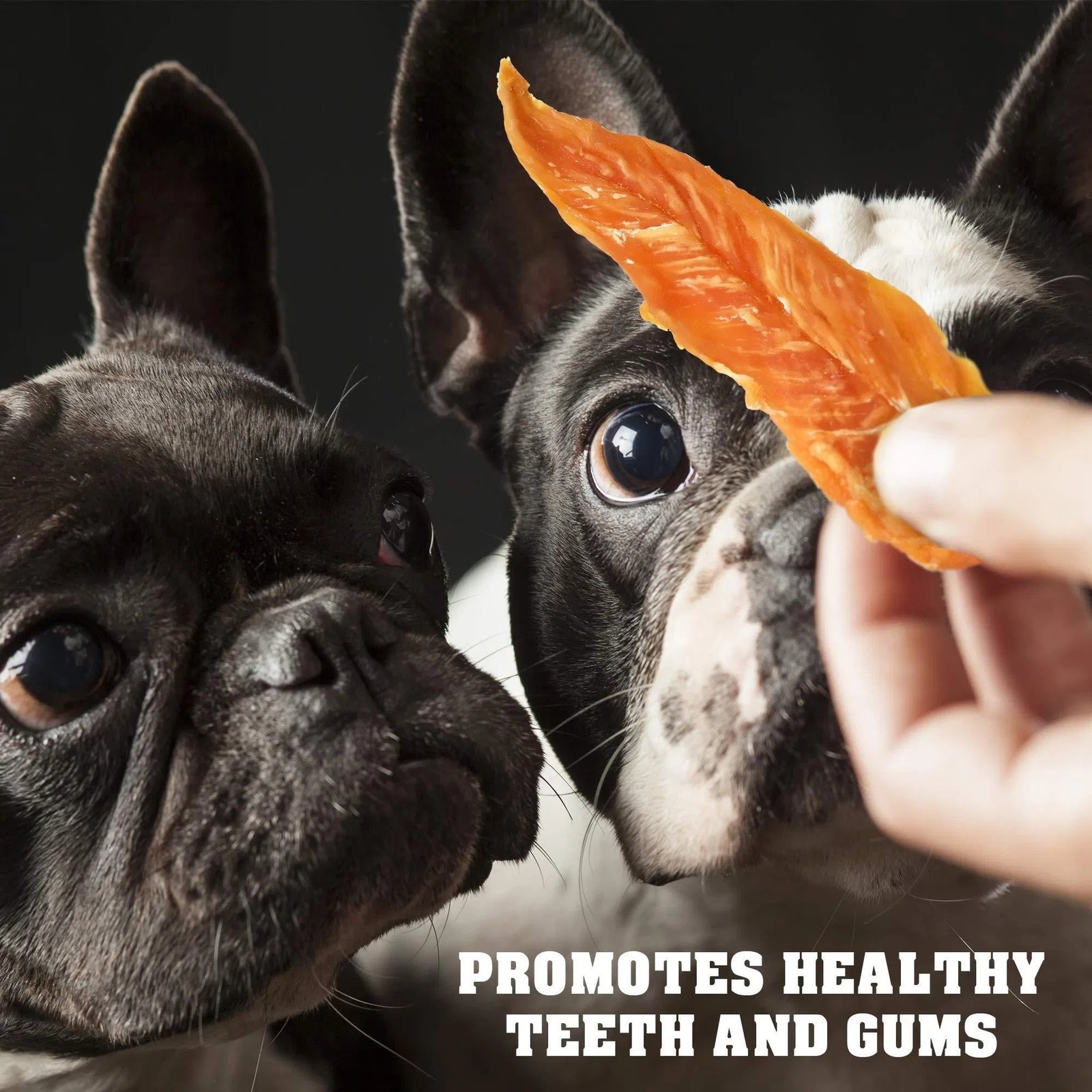 Chicken Jerky Dog Treats 1.5 Lb Human Grade Pet Snacks Grain Free Organic Meat All Natural High Protein Dried Strips Best Chews For Training Small & Large Dogs - Image 3