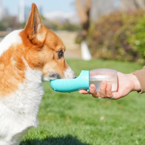 Pet Water Cup Outdoor Portable Water Bottle - Image 3