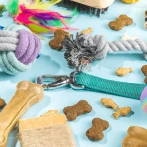 Pet Supplies