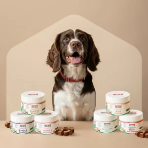 Dog Vitamins & Supplements