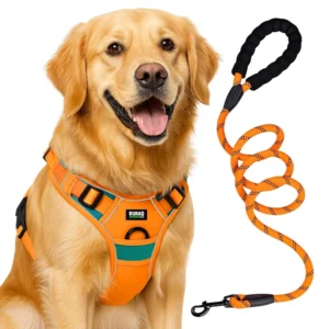 Pet Collars, Harnesses & Accessories