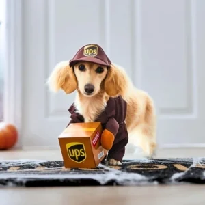 Pet Apparels