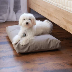 Pet Bedding