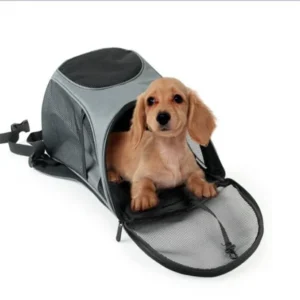 Dog & Cat Travel & Outdoor