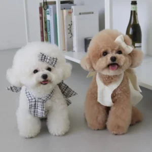 Dog & Cat Apparel & Accessories