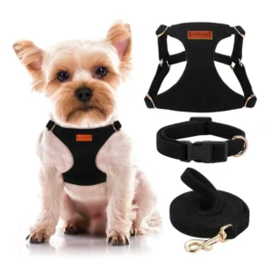Dog & Cat Collars Harnesses & Leashes